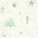 York Boca Raton Teal Seashells Wallpaper