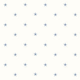 York White Sands Blue Starfish Wallpaper