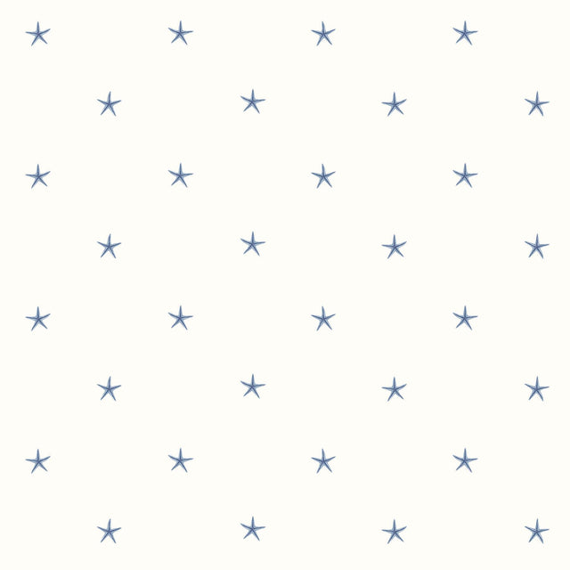 York White Sands Blue Starfish Wallpaper