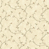 York Gemma Wheat Tin Star Trail Wallpaper Wallpaper