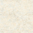 York Mapped Blue Charts Wallpaper Wallpaper