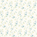 York Carla Blue Spring Bloom Trail Wallpaper Wallpaper