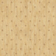 York Sandalwood Sand Stencil Starburst Toss Wallpaper Wallpaper