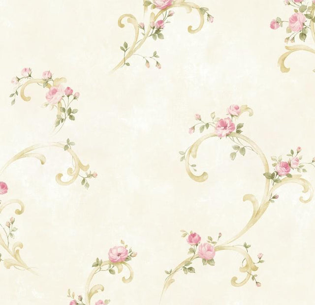 York Betty Pink Tearose Acanthus Trail Wallpaper Wallpaper