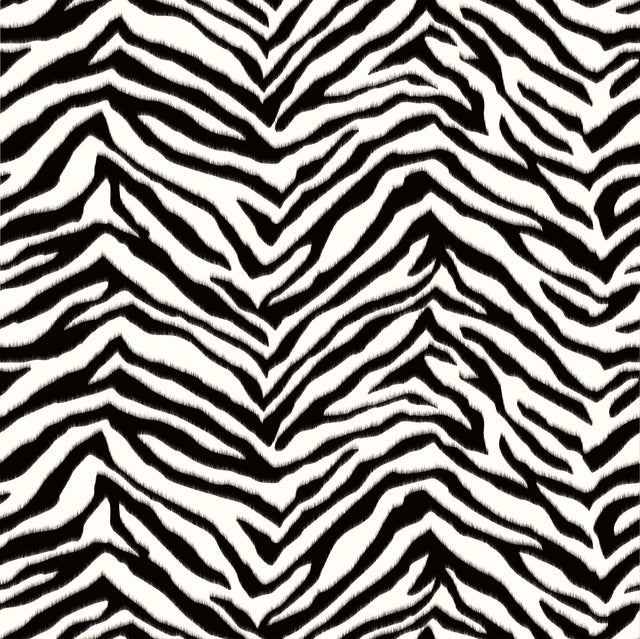 York Mia Black Faux Zebra Stripes Wallpaper Wallpaper