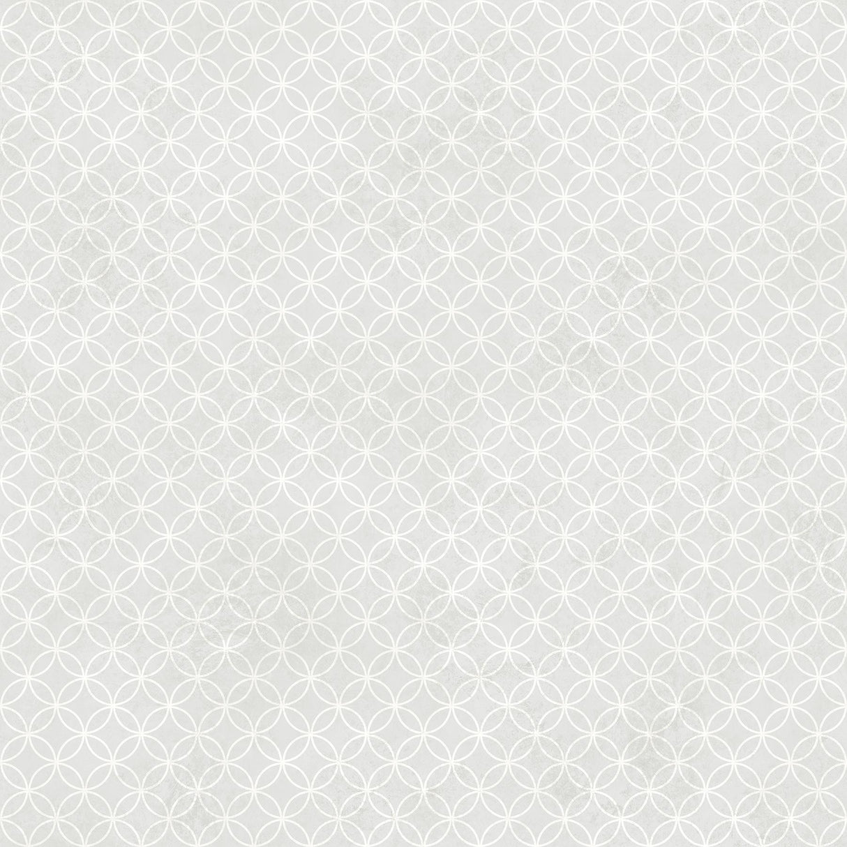 York Leena Grey Loopy Hoops Wallpaper