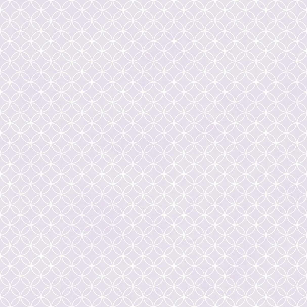 York Leena Lavender Loopy Hoops Wallpaper