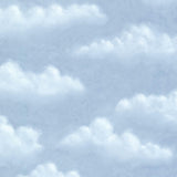 York Lucas Ocean Puffy Clouds Wallpaper
