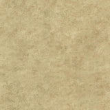York Whitetail Lodge Rust Distressed Texture Wallpaper