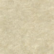 York Whitetail Lodge Sand Distressed Texture Wallpaper