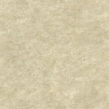 York Whitetail Lodge Sand Distressed Texture Wallpaper