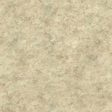 York Whitetail Lodge Sage Distressed Texture Wallpaper