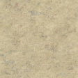 York Whitetail Lodge Beige Distressed Texture Wallpaper