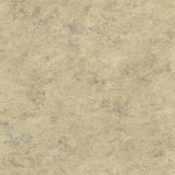 York Whitetail Lodge Beige Distressed Texture Wallpaper