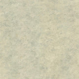 York Whitetail Lodge Turquoise Distressed Texture Wallpaper