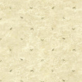 York Pine Valley Sand Sprig Toss Wallpaper