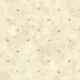 York Pine Valley Neutral Sprig Toss Wallpaper