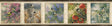 York Springfield Black Springfield Border