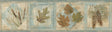 York Seminole Sky Greenleaf Border