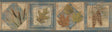 York Seminole Navy Greenleaf Border