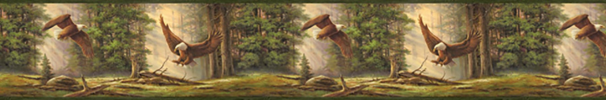 York Houghton Olive Eagles Border