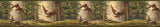 York Houghton Olive Eagles Border
