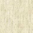 York Heron Olive Stencil Starburst Wallpaper