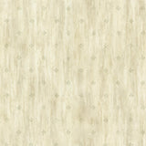 York Heron Olive Stencil Starburst Wallpaper