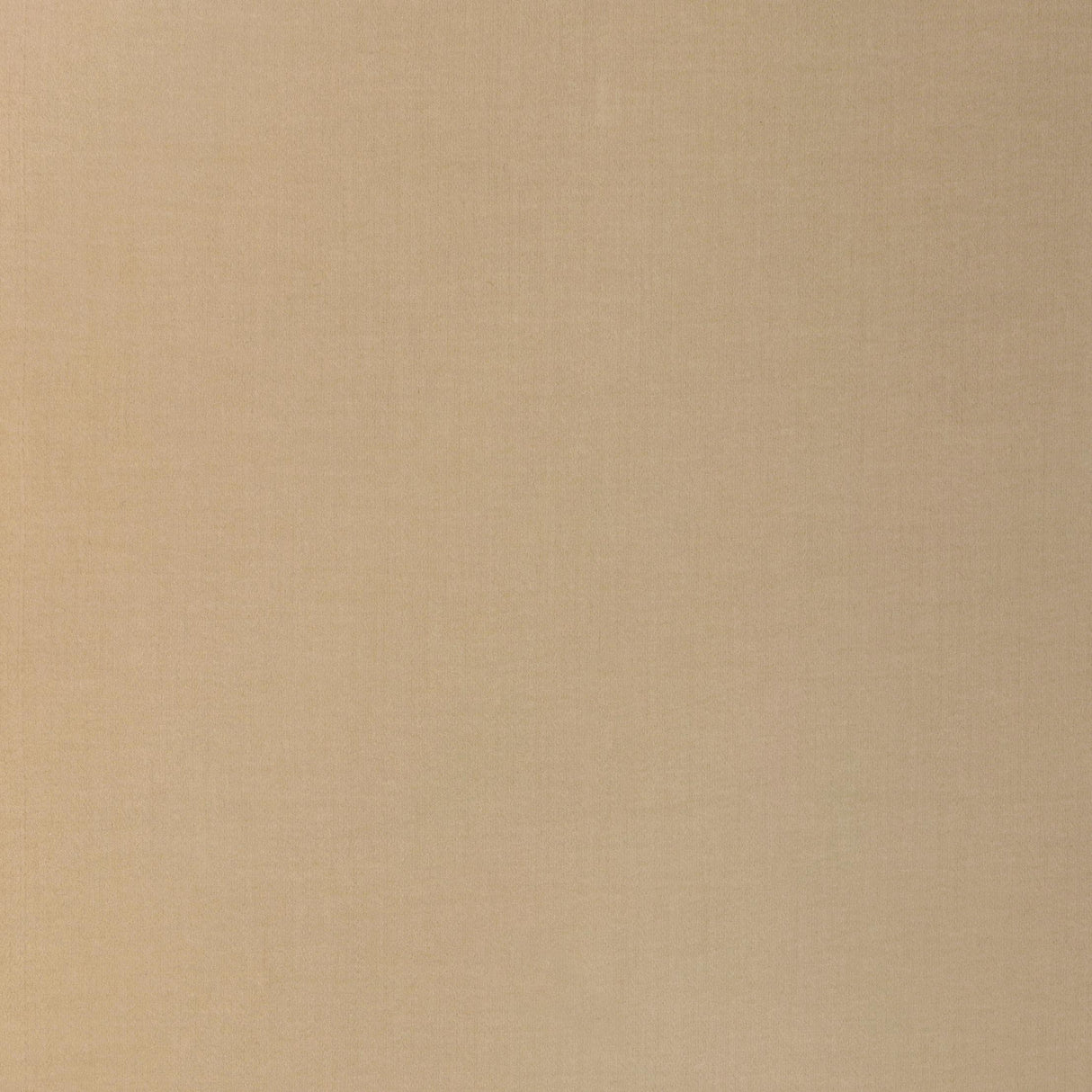 Donghia SAVVY VANILLA Fabric