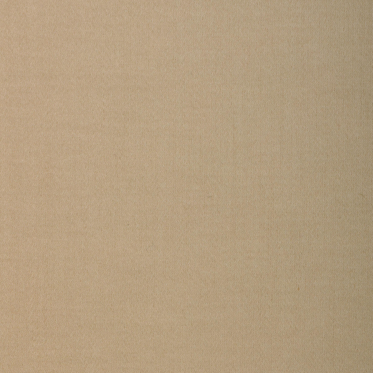 Donghia SAVVY VANILLA Fabric