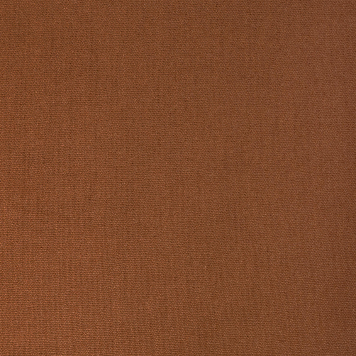 Donghia CONNOISSEUR GINGER Fabric