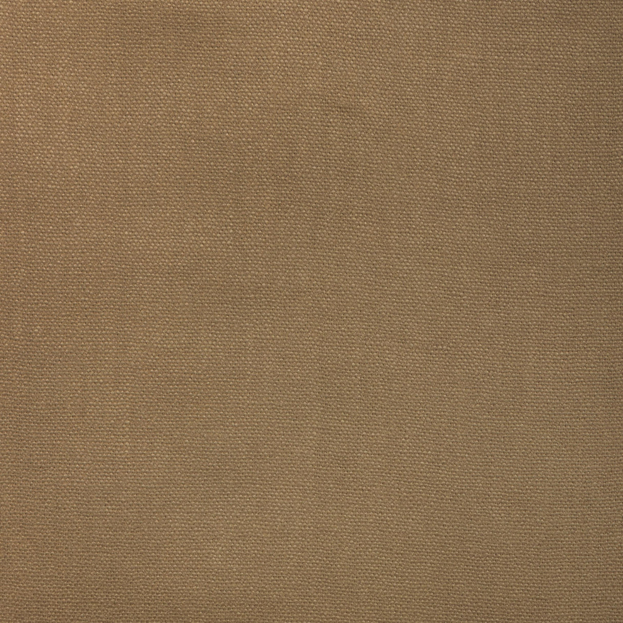 Donghia CONNOISSEUR STRAW Fabric