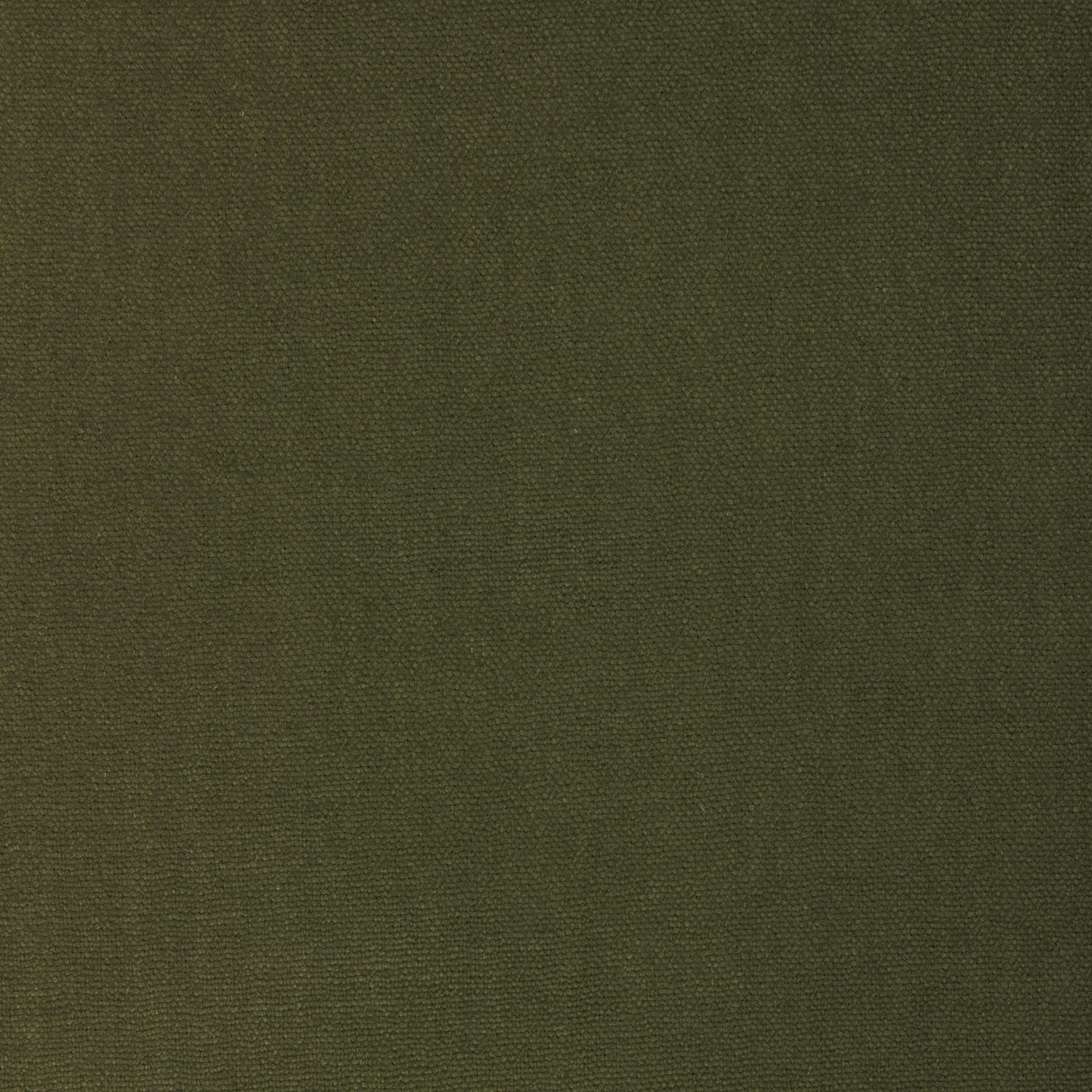 Donghia CONNOISSEUR ARTICHOKE Fabric