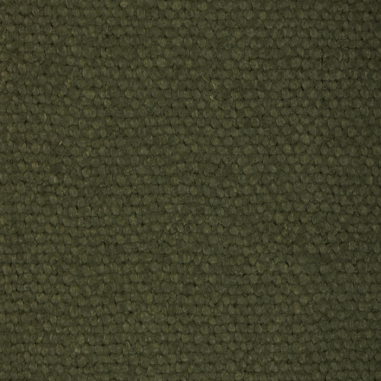 Donghia CONNOISSEUR ARTICHOKE Fabric
