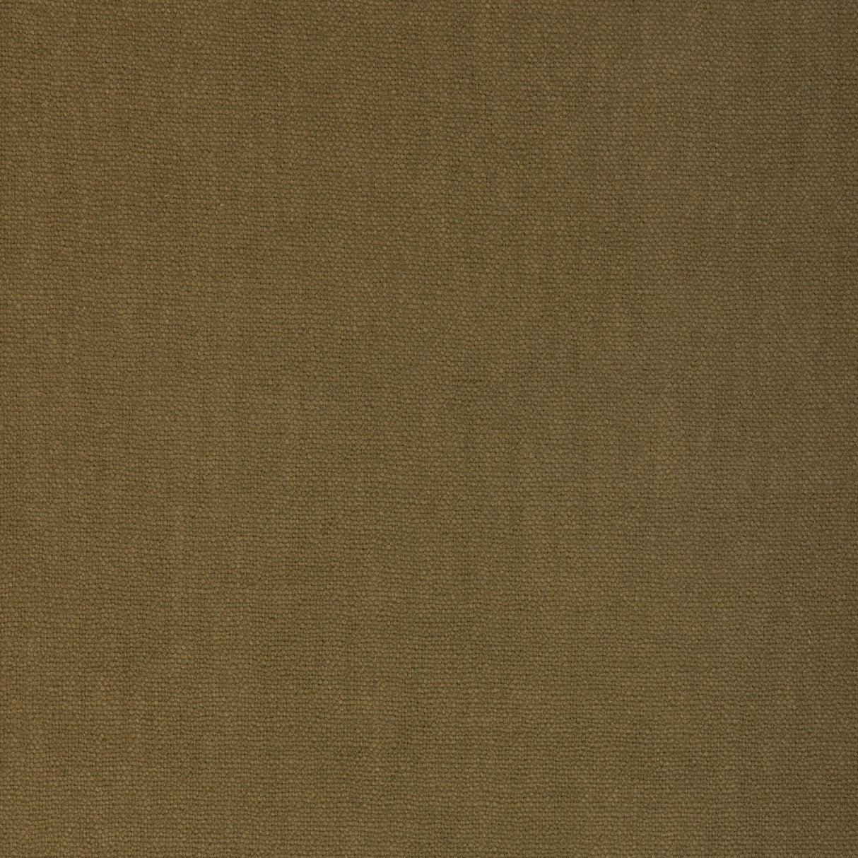 Donghia CONNOISSEUR OLIVE Fabric