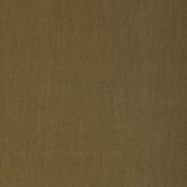 Donghia CONNOISSEUR OLIVE Fabric
