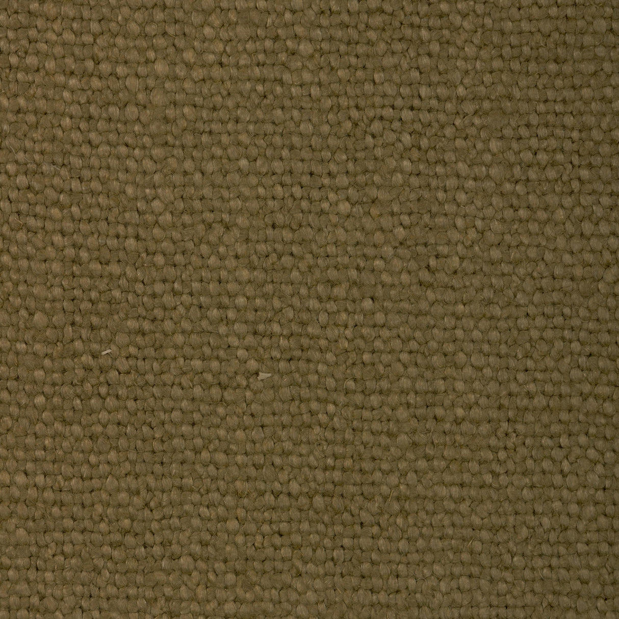 Donghia CONNOISSEUR OLIVE Fabric