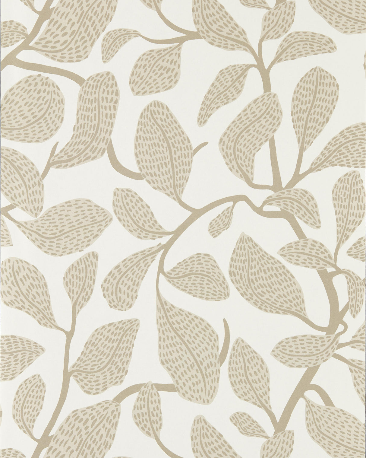 Scion SWEET BAY WP STONE Wallpaper