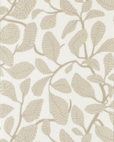 Scion SWEET BAY WP STONE Wallpaper