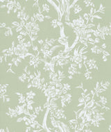 Lee Jofa CAMELLIA TOILE WP PEAR Wallpaper