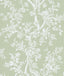 Lee Jofa CAMELLIA TOILE WP PEAR Wallpaper