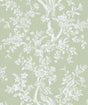 Lee Jofa CAMELLIA TOILE WP PEAR Wallpaper