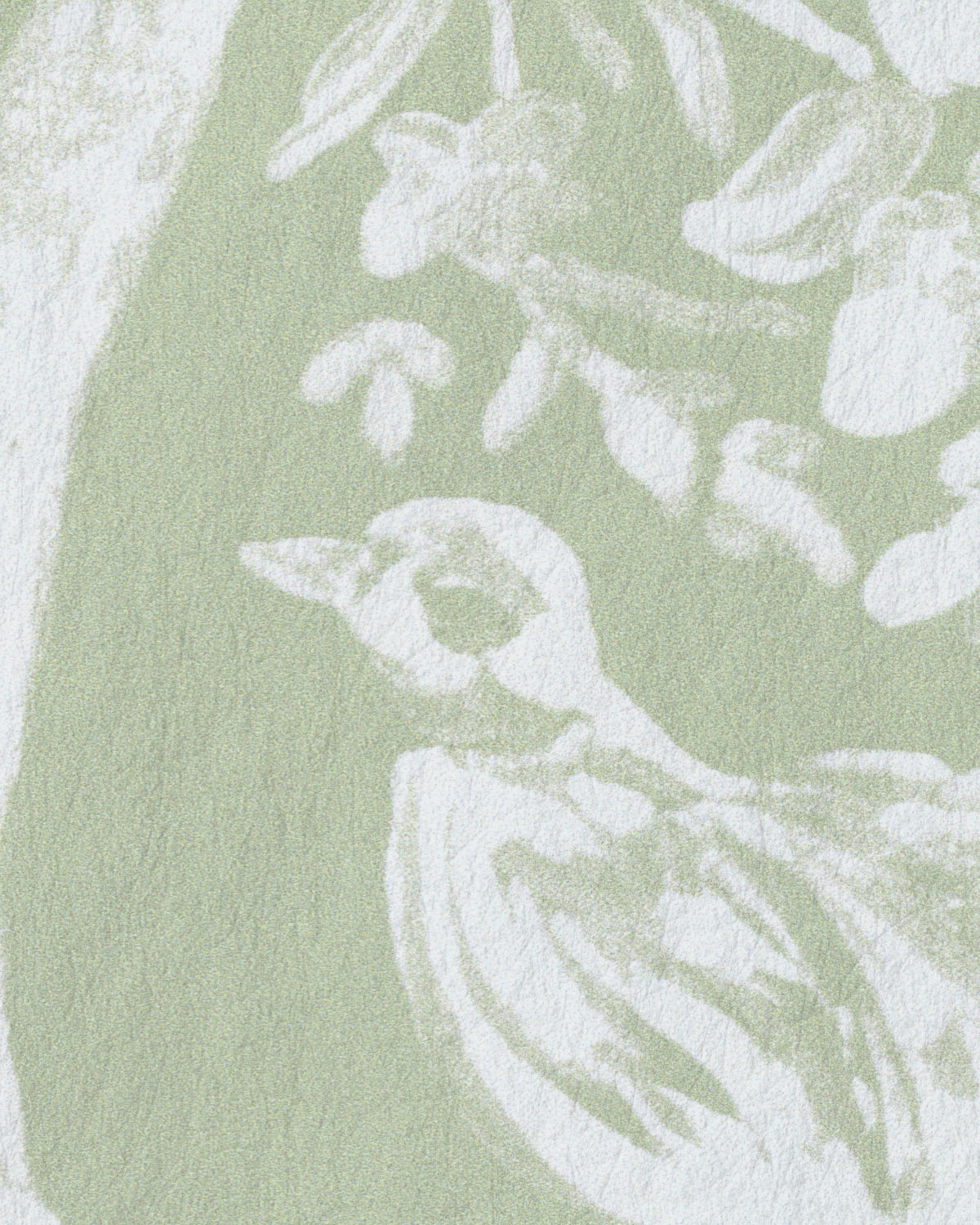 Lee Jofa CAMELLIA TOILE WP PEAR Wallpaper