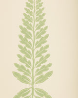 Lee Jofa GLADE FERN SAGE Wallpaper