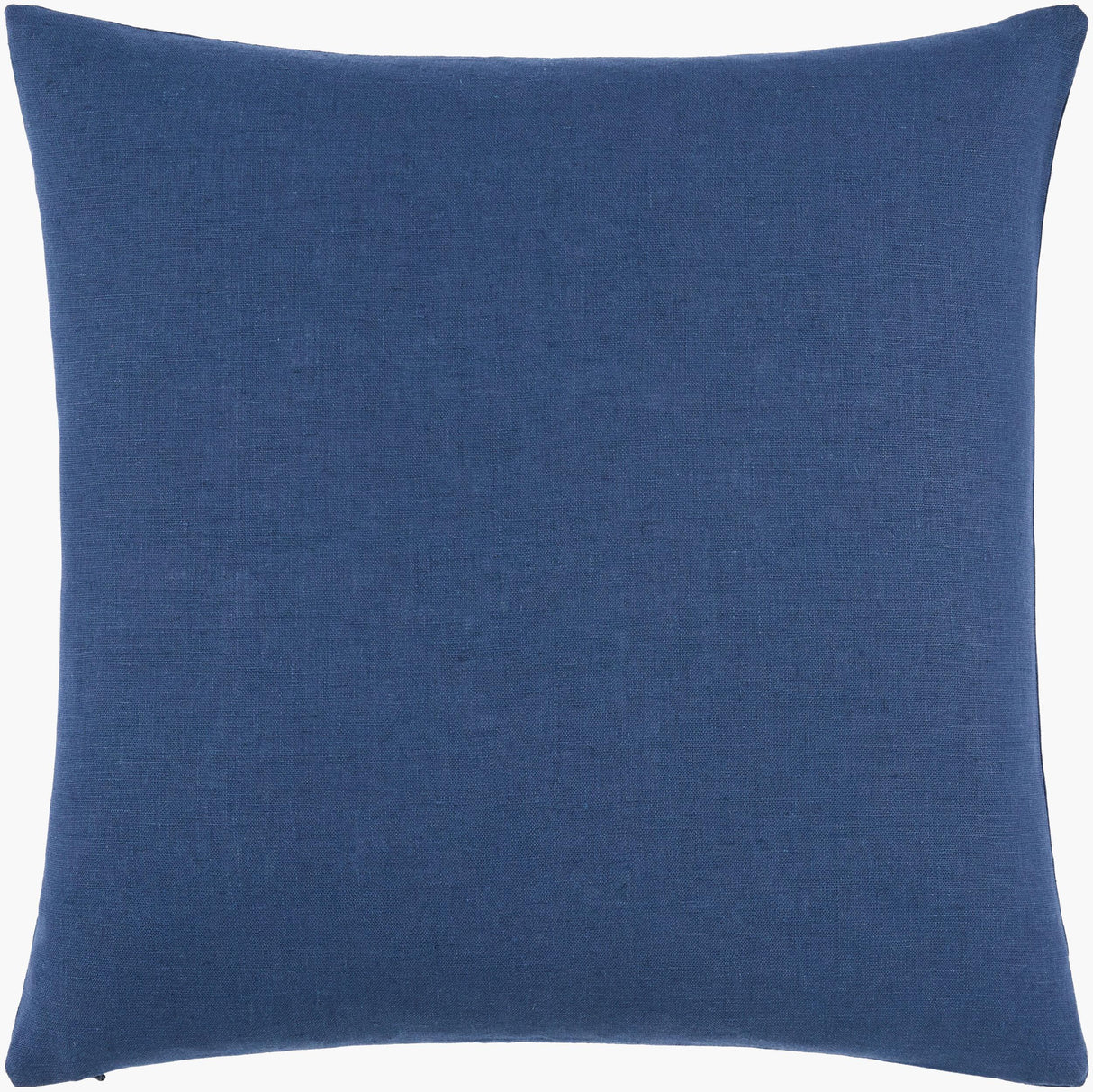 Livabliss Dilip DLI-008 20"L x 20"W Pillow