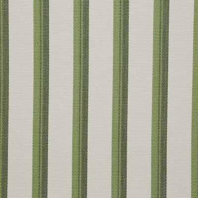 Pindler DOWNEY MATCHA Fabric