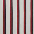 Pindler DOWNEY AMERICANA Fabric
