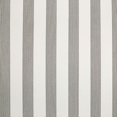 Pindler JENSEN DOMINO Fabric