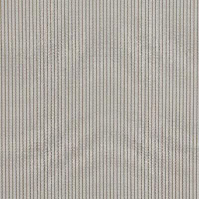 Pindler MADDEN CAMEL Fabric