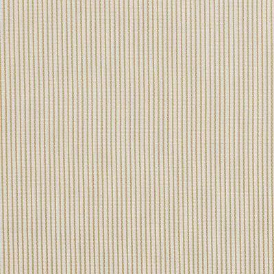 Pindler MADDEN GOLDEN Fabric